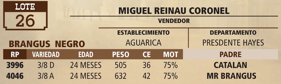 Lote LOTE 26 - PANTALLA