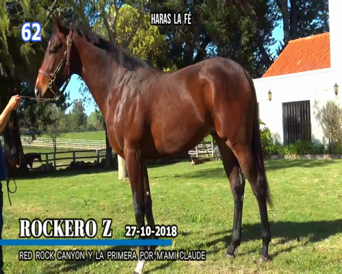 Lote ROCKERO Z