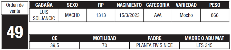 Lote LOTE 49