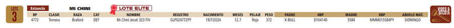 Lote LOTE 3