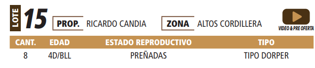 Lote LOTE 15 -POR PANTALLA