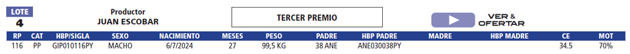 Lote LOTE 4