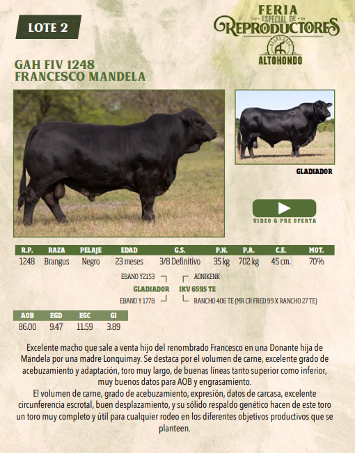 Lote LOTE 2