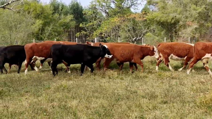 Lote La Llave del lago - Jaso y Jaso