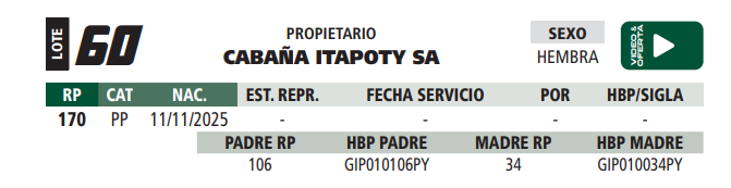 Lote LOTE 60