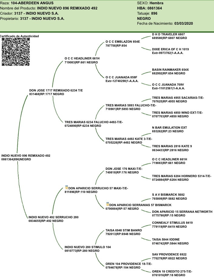 Lote VAQUILLONAS CON CRIA SANTA ROSA