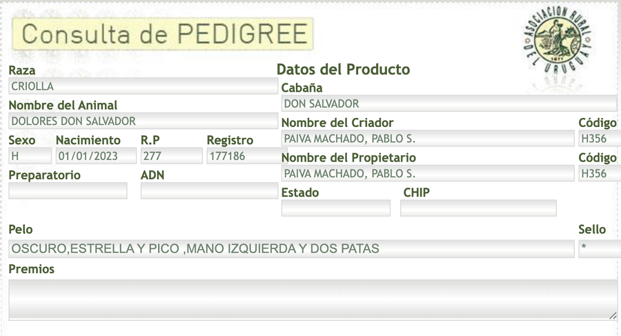 Lote Dolores Don Salvador