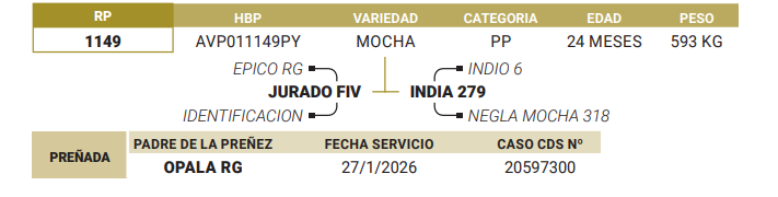 Lote LOTE 44