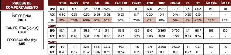 Lote CHAÑAR HOMETOWN 7 3682
