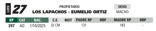 Lote LOTE 27