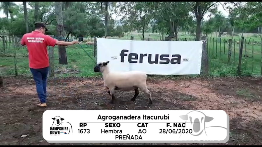 Lote LOTE 5 A CAMPO - RP 1673