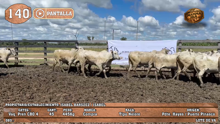 Lote LOTE 140 - PANTALLA