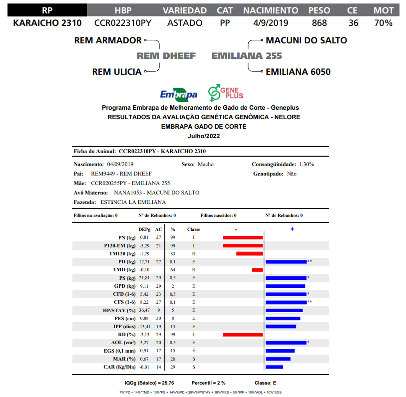 Lote LOTE 55  RP K2310