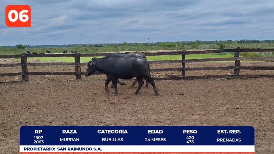 Lote LOTE 6