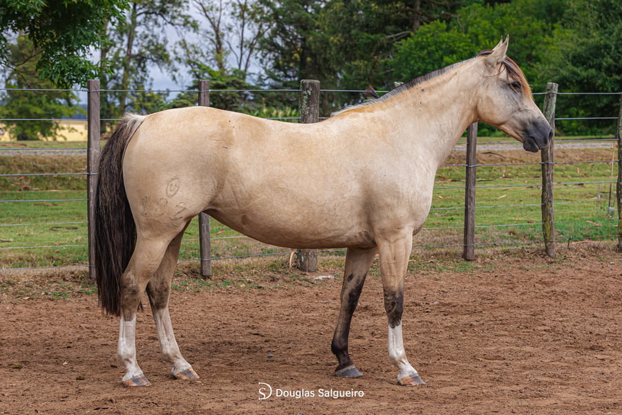 Lote ILUMINADA DE LA COLINA