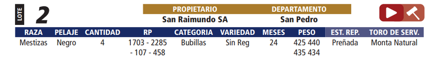 Lote LOTE 2