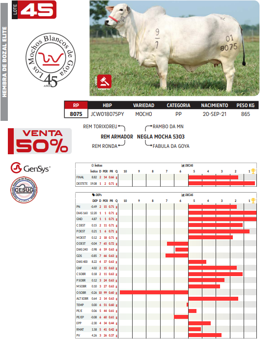 Lote LOTE 45 DE BOZAL- SALE A VENTA EL 50%