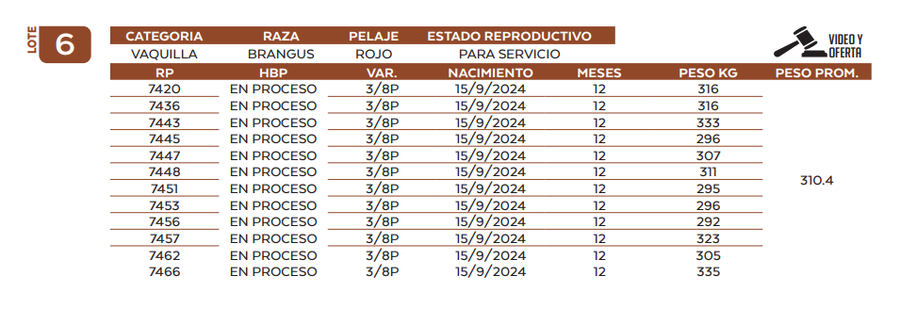 Lote LOTE 6