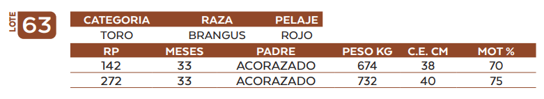 Lote LOTE 63