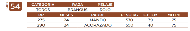 Lote LOTE 54