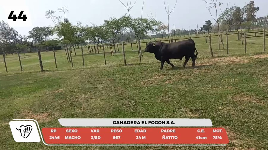 Lote LOTE 44-DE CAMPO