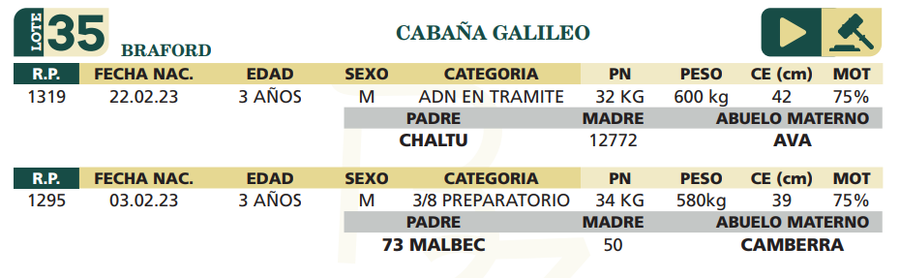 Lote LOTE 35