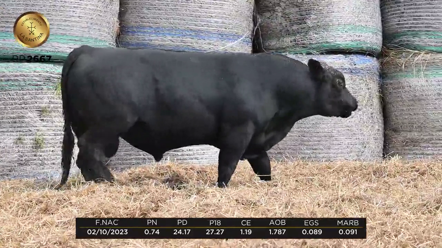 Lote LA SANTINA ENGAGE 1476-2667