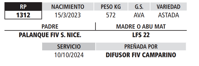Lote LOTE 8