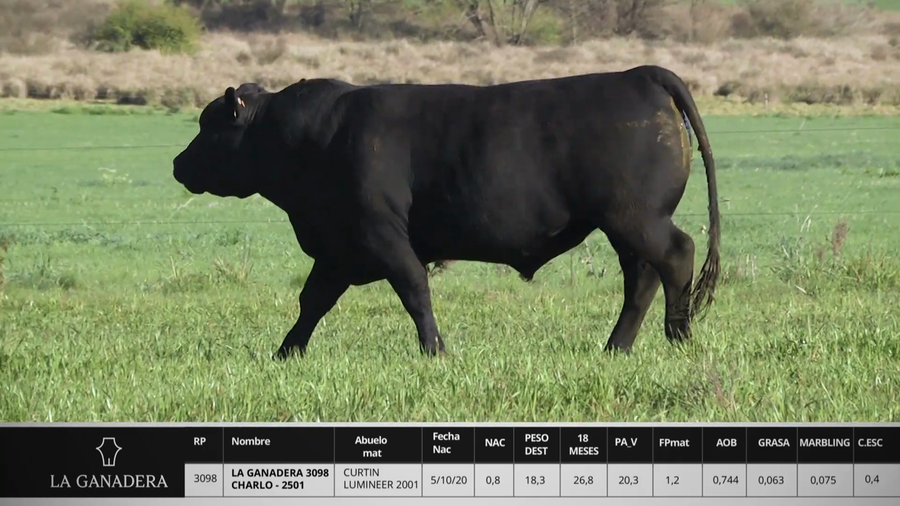 Lote LA GANADERA 3098 CHARLO - 2501