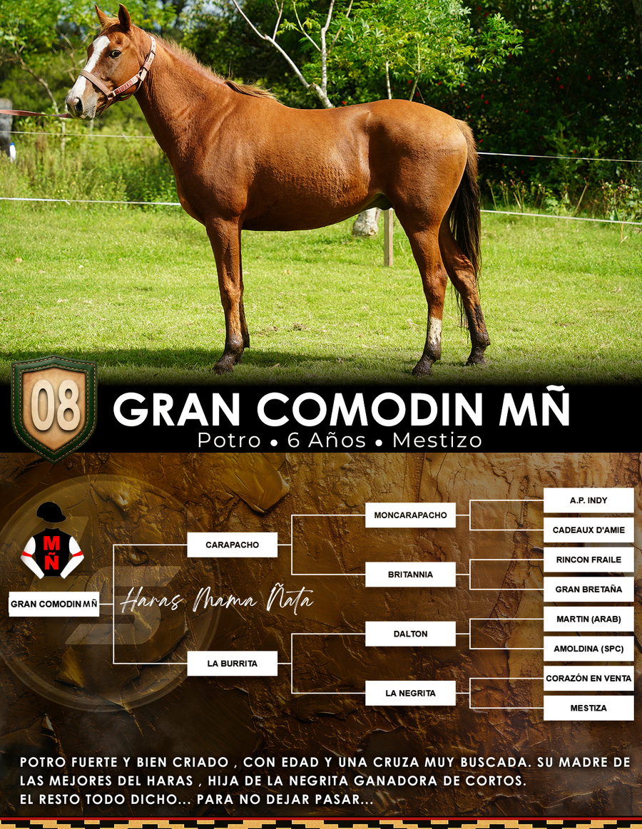 Lote GRAN COMODIN MÑ