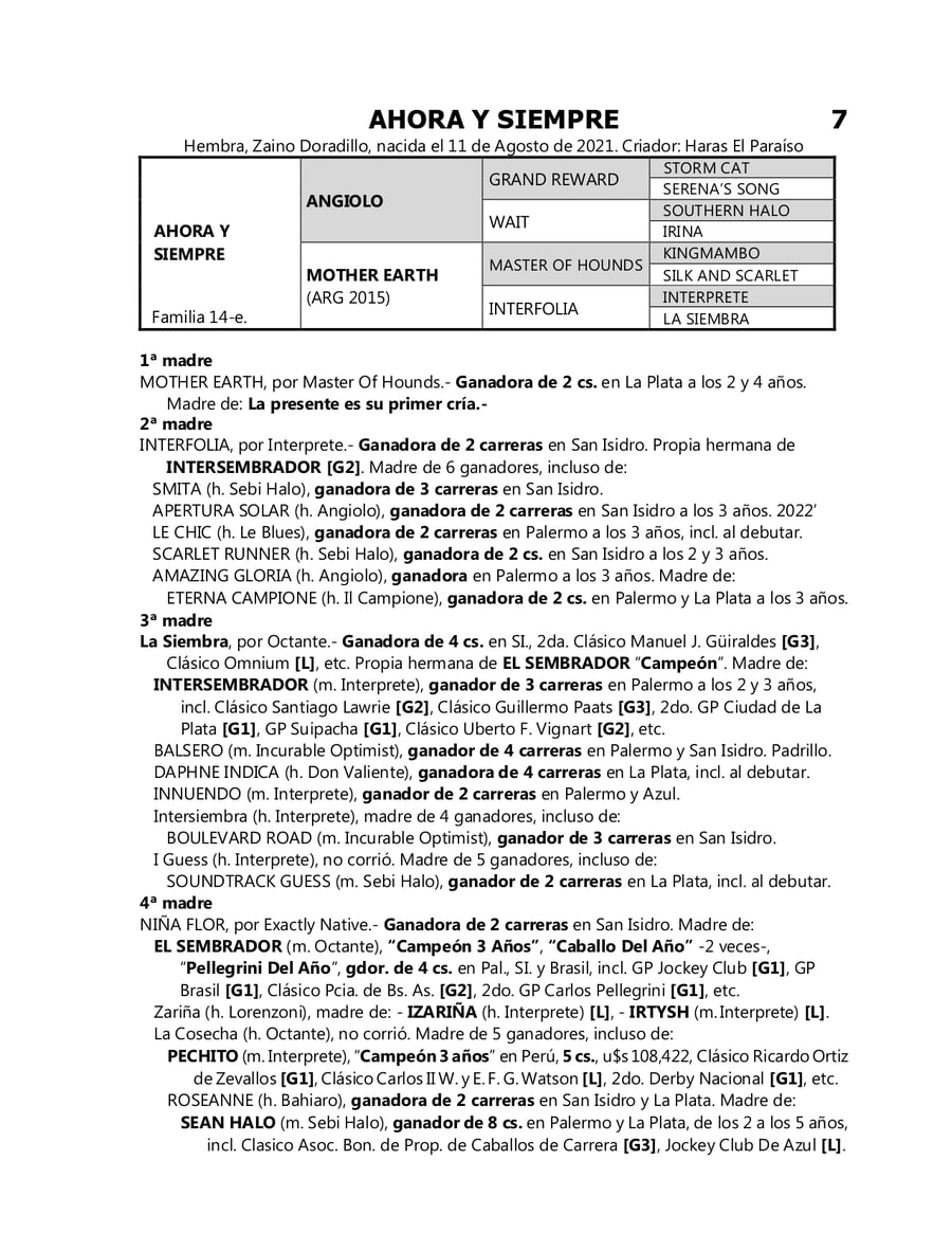 Lote AHORA Y SIEMPRE