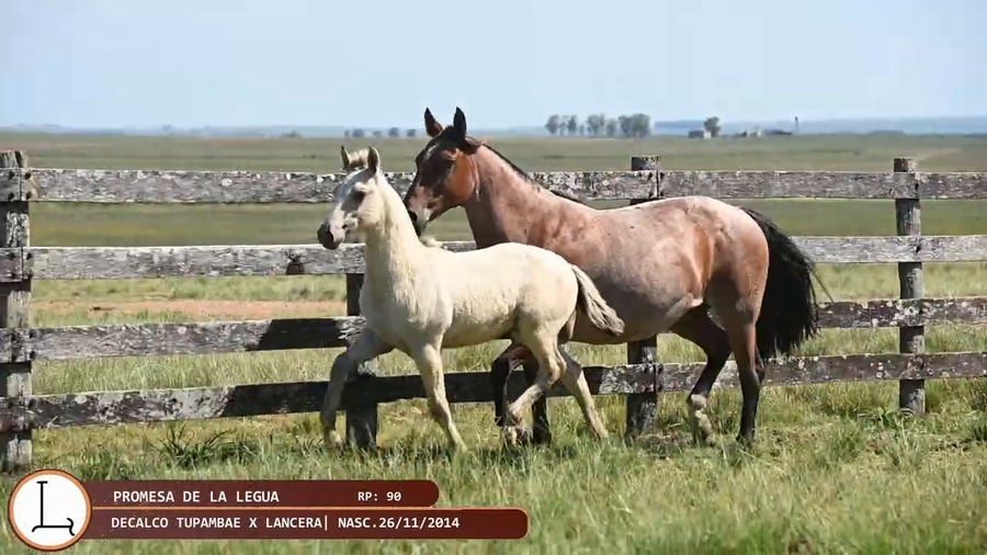 Lote PROMESA DE LA LEGUA
