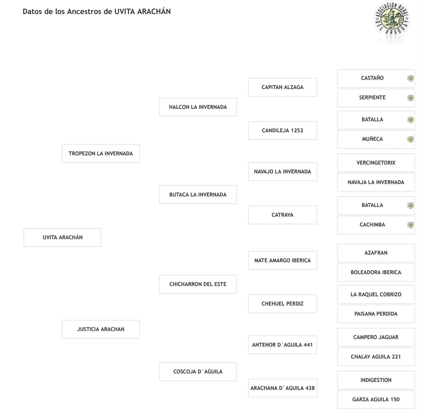 Lote Cabaña "Don Tito" - RP 203 - Uvita Arachán