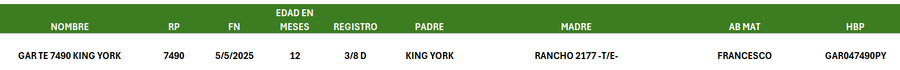 Lote LOTE 38