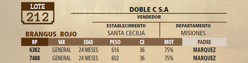 Lote LOTE 212 - VIVO