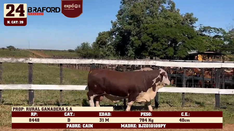 Lote LOTE 24