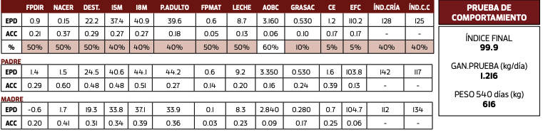 Lote AZUL MARAVILLA 3806