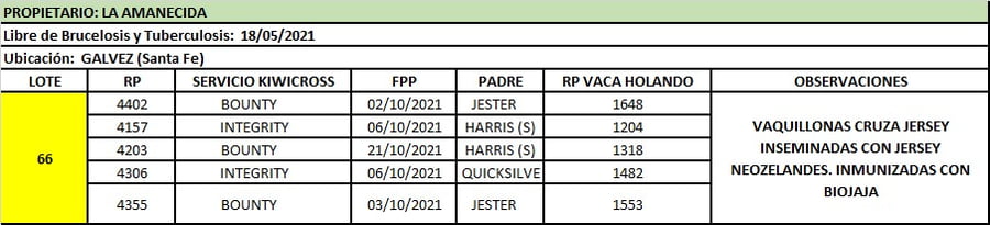 Lote Lote 66 La amanecida