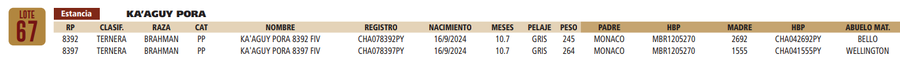 Lote LOTE 67