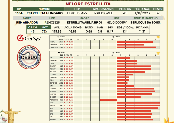 Lote LOTE 3