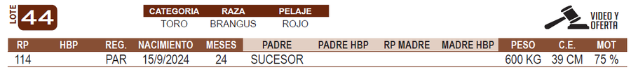 Lote LOTE 44