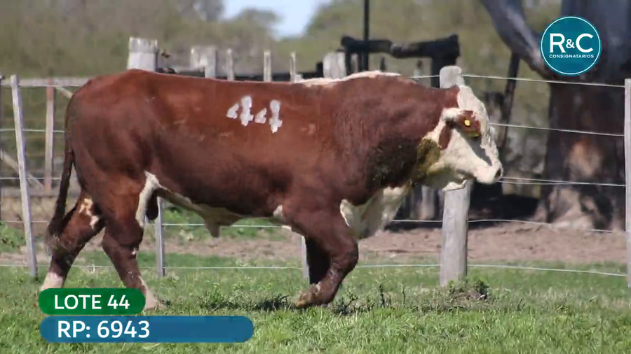 Lote Toros señal 22