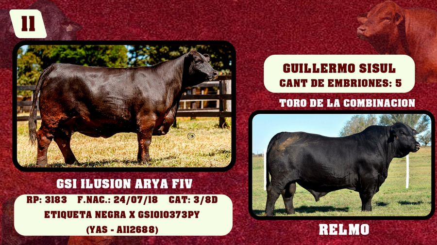 Lote LOTE 11