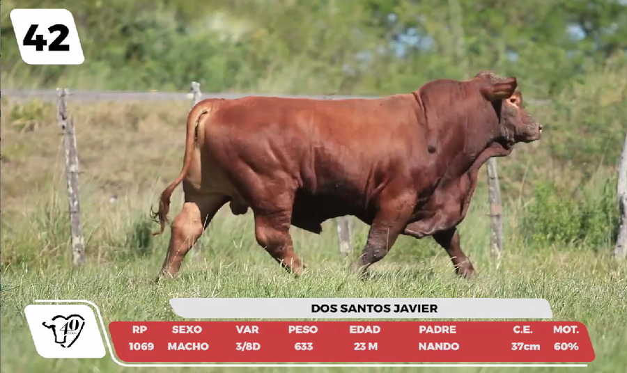 Lote LOTE 42-DE CAMPO