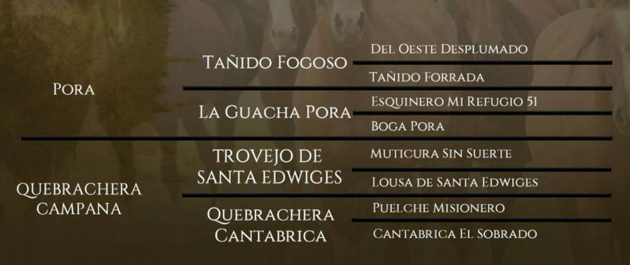 Lote Santa Gloria 181