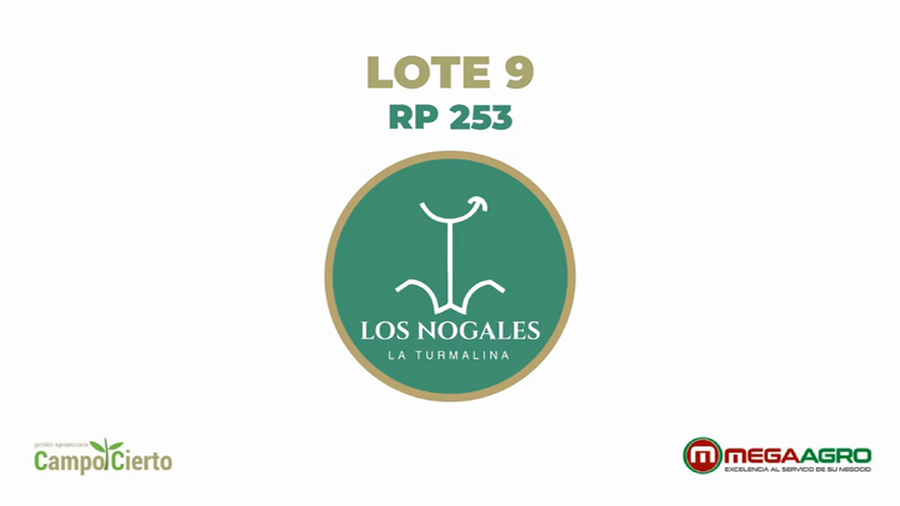 Lote LOS NOGALES