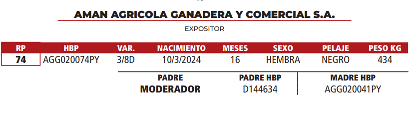 Lote LOTE 36