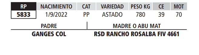 Lote LOTE 37