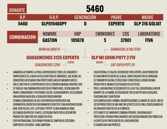 Lote LOTE 18