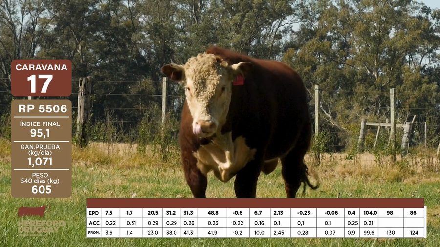 Lote Caravana 17 "CABAÑATROPICALIADEROCHAS.A."